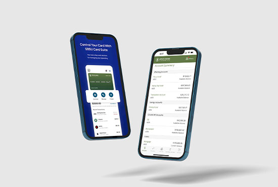 onelinebankingMobile Climber in a Canyon
